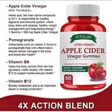 Fitgum Extra Strength Apple Cider Vinegar Gummies – 60 Organic Gummies