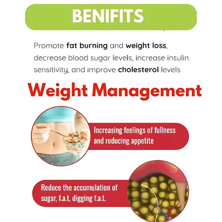 Dr. Pinoca Green Tea Nature Lean Gummies – 60 Gummies