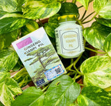 Ginseng Kianpi Pill Original For Weight Gain , Muscles , Strength