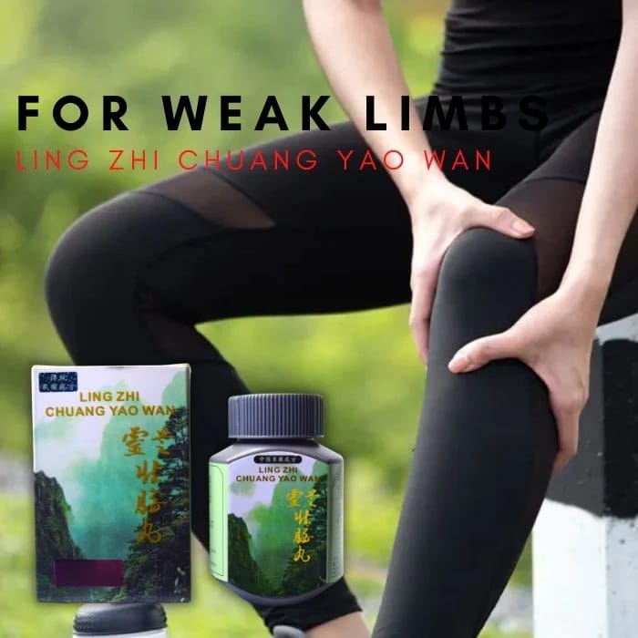 Ling Zhi Chuang Yao Wan – 50 Capsules | Premium Reishi Mushroom Herbal Supplement for Immunity, Vitality & Overall Wellness