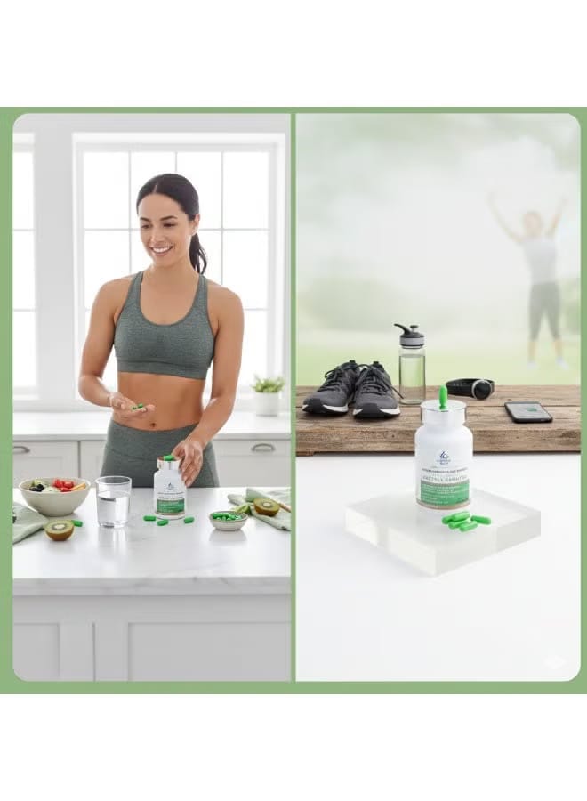 Ureshii High Strength Fat Burner – 60 Capsules