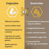 Mega C Vitamin C Gummies – Adult Immune Support Supplement (60 Gummies)