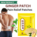 FAREJIANGTIE Pain Relief Ginger Patches – 100pcs | Natural Heating Herbal Patch for Body Pain