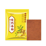 FAREJIANGTIE Pain Relief Ginger Patches – 100pcs | Natural Heating Herbal Patch for Body Pain