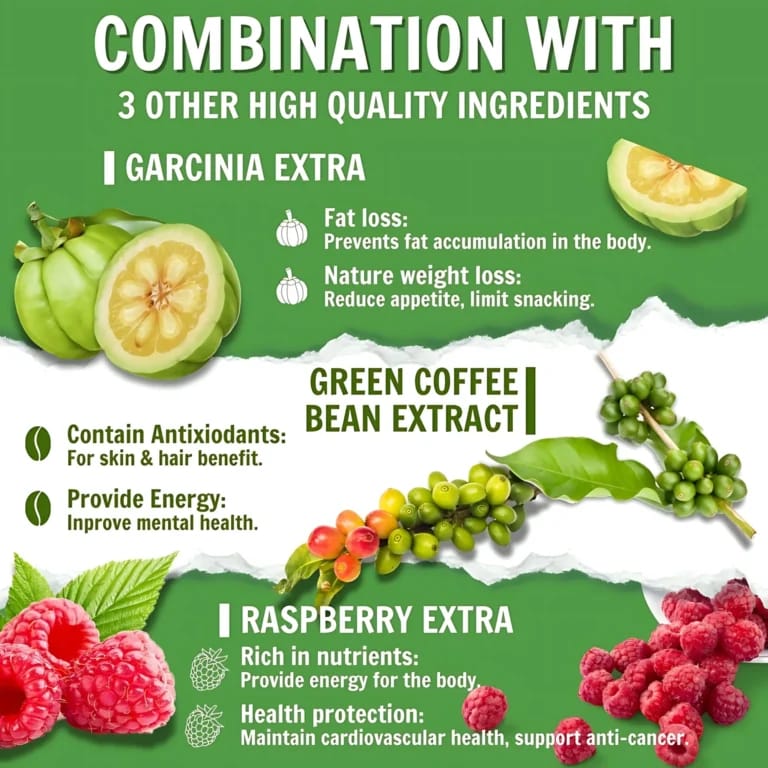 Dr. Pinoca Green Tea Nature Lean Gummies – 60 Gummies